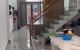 thum-9190037_dXOW7K8j2q_1745050072.jpeg