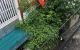 thum-9190088_UCzfTvALiN_1745072736.jpg