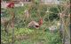 thum-9190093_Qzi5PZR2l8_1745073572.jpg