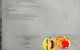 thum-m_XFnqKIhGCp_1745028703.jpg