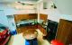 thum-9190295_TrGLwe0tU7_1745211335.jpeg