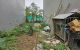 thum-9190306_KO0CydMGWP_1745217725.jpg