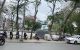 thum-9190419_S7EUol1gRt_1745243328.jpg