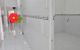 thum-9190581_3q9DxBCtif_1745306013.jpg