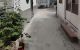 thum-m_iqD5LCk28M_1745277451.jpg
