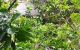 thum-9190829_yxkItp5a1q_1745397723.jpg