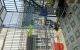 thum-9190857_MraRowDLVI_1745405738.jpeg