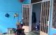 thum-9191017_1FTWyucig6_1745481588.jpg
