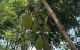 thum-9191024_MARajE7JFc_1745483032.jpg