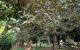 thum-m_8CNZUqX1dE_1745483025.jpg