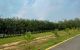 thum-9191219_ZncQgSP1sY_1745566551.jpg