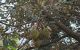 thum-9191357_eUiOJpAgHr_1745635454.jpg