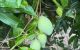 thum-9191374_cuyEm5Siqt_1745639627.jpg