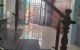 thum-9191435_JbKZVPSh3D_1745657335.jpg