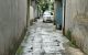 thum-9191582_tT09PxFcuf_1745795906.jpeg