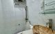 thum-9191620_I9OguKD3U1_1745810444.jpg