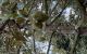 thum-9191640_3Cgvpj1Ha7_1745816215.jpg