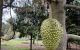 thum-9191640_l8RXPOCswV_1745816241.jpg