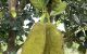thum-9191696_uprz5WqNf6_1745829275.jpg