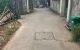 thum-9191808_GUPDS2oNYm_1745900093.jpg