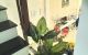 thum-9191916_RnDbXYKQ8r_1745969391.jpeg