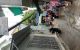 thum-9191952_8G5yPQArRo_1745998603.jpeg