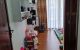 thum-9191986_Jo2j6Ukei8_1746063797.jpeg
