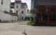 thum-m_hyEPVcmA9T_1746095205.jpg