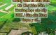 thum-9192075_OtKibo1M4v_1746155589.jpeg