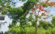 thum-m_QRMWstgSei_1746259003.jpg