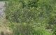 thum-m_Z4GtryfIOz_1746207213.jpg