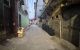 thum-9192301_puB4KdEh6c_1746321511.jpg