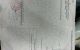 thum-9192863_0Px37GSOZl_1746587340.jpg