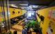 thum-9192892_wNGokOv1qV_1746595381.jpg