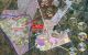 thum-m_ak0iTsPXyS_1746581564.jpg
