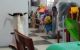 thum-9193075_BQmDLcqUNg_1746677635.jpg