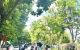 thum-9193185_fp56MUFiAr_1746723453.jpeg
