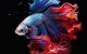 thum-m_uKprqeDsUB_1746760306.jpg
