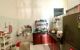 thum-9193549_OBLumjNhk6_1747029423.jpg