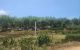 thum-9193610_rmuh6qPVp1_1747044383.jpg