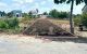 thum-9193613_bjANznOc9T_1747045667.jpg