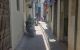 thum-9193750_ZqJOugjTr4_1747120731.jpg