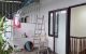 thum-9193987_Cd90kZAM6G_1747224656.jpg
