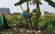 thum-9194023_qXOsDh2z1I_1747244486.jpg