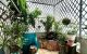 thum-9194165_k95lpxDTdM_1747300174.jpeg