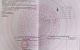 thum-9194177_ut127y5pYo_1747305384.jpg