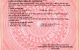 thum-9194505_wAQxVFPTtS_1747487840.png