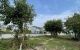 thum-9194643_q58kOESVHs_1747620846.jpg