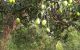 thum-9194734_oEN9pJxivF_1747646112.jpg