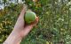 thum-9194835_fLZSxkgh9i_1747713507.jpg